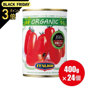  L@ g}g C^Abg z[g}g 400g×24 g}gW[X I[KjbN ϊ y1P[X 24zz[ i exbjybsOsz