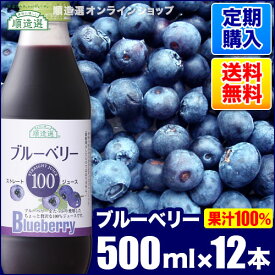 定期購入 順造選 ブルーベリー100（果汁100％ストレートブルーベリージュース）500ml×12本入りセット 送料無料