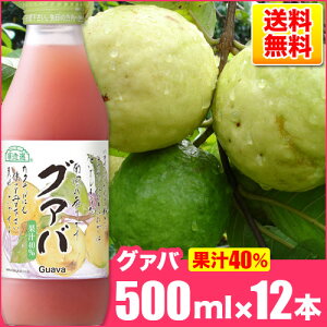 yJALt@[XgNX̗pizI O@o 500ml×12{Zbg  ʏ`40O@oW[X OAoW[X OAo