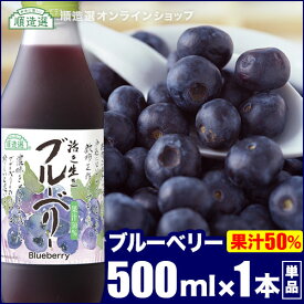 【 ポイント5倍 マラソン期間】順造選 ブルーベリー 500ml×1本 果汁50％ブルーベリージュース
