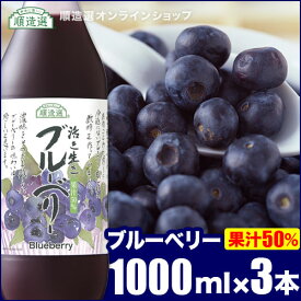 【 ポイント5倍 マラソン期間】順造選 ブルーベリー 1000ml×3本入りセット 果汁50％ブルーベリージュース