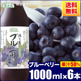 【ポイント8倍 マラソン期間】 順造選 果汁50％ ブルーベリー ジュース 1000ml×6本入りセット 送料無料 ブルーベリージュース