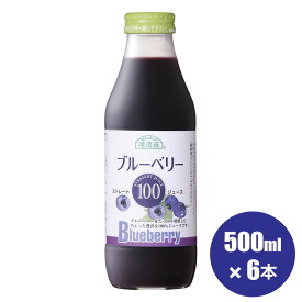 送料無料 果汁100％ ブルーベリー100 ジュース500ml×6本入りセット 順造選 無添加 ストレート ブルーベリージュース 100％