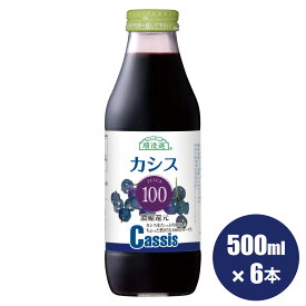 【 ポイント5倍 4/24 20:00～4/27 09:59】果汁100％ カシス100 ジュース500ml×6本入りセット カズレーザー 紹介 臭いケア 送料無料 順造選 無添加 カシスジュース 100％