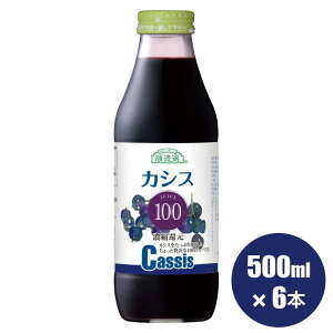 yX[p[SALE |Cg7{zʏ`100 JVX100 W[X500ml×6{Zbg JY[U[ Љ LPA  I ۑ  Y JVXW[X 100