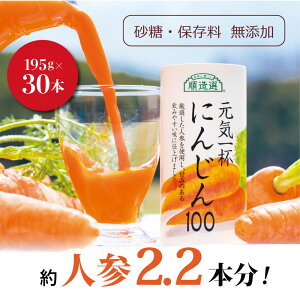 lQW[X ɂ񂶂W[X 100  Y I Ct ɂ񂶂100 195g×30{ ʏ`100 F  ۑsgp LbgW[X ؃W[X t@XeBO ̎P J