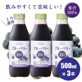 【 ポイント5倍 マラソン期間】保存料 香料 無添加 果汁100% ブルーベリー 100 ジュース 500ml×3本入りセット 順造選 ストレート ブルーベリージュース 100％