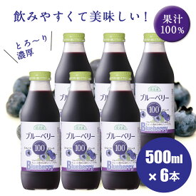 【 ポイント8倍 マラソン期間】送料無料 果汁100％ ブルーベリー100 ジュース500ml×6本入りセット 順造選 保存料 香料 無添加 ストレート ブルーベリージュース 100％