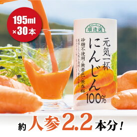 果汁100％ 元気一杯 にんじん100％ 195g×30本 順造選 通販限定 送料無料 果汁100％ 人参ジュース にんじんジュース ニンジンジュース 野菜ジュース 人参 にんじん ジュース カートカン 紙パック 紙容器