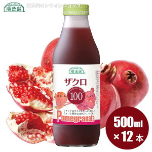V`AY UNW[X 500ml×12{ ʏ`100 Xg[g I ۑ  Y W[X