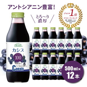 y|Cg10{ X[p[SALEzʏ`100 JVX 100 500ml×12{Zbg JY[U[ Љ LPA  I ۑ  Y JVXW[X 100