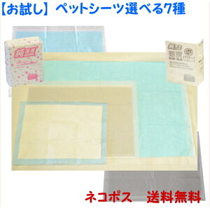 []ybgV[cIׂ7iYEYp[EɒYp[EƖp^E[Jjǂ1OɁIlR|X