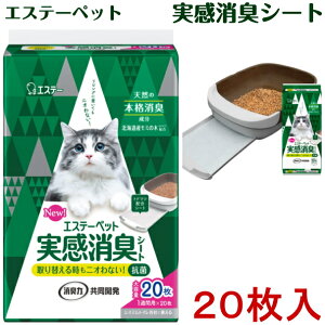 GXe[ybg LV[g(20) @LVXegCp@43cm×29cm