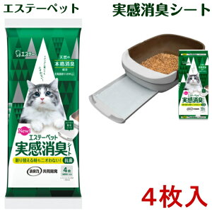 GXe[ybg LV[g(4) @LVXegCp@43cm×29cm