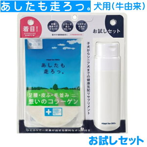 BZbg@40gƌvʃ{gZbg@p  R[Q