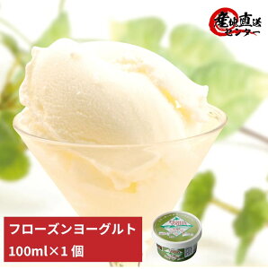 yYzkC\YW[W[gp t[Y[Og 100ml MtgXC[cɂ҂