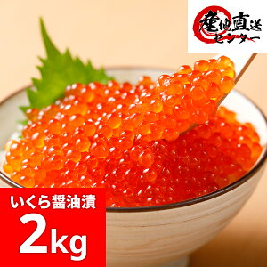 y󂠂zkCYݖЂ 2kgi250g×8j  CN Ε  Mtg