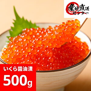 y󂠂zkCYݖЂ 500gi250g×2j  CN Ε  Mtg