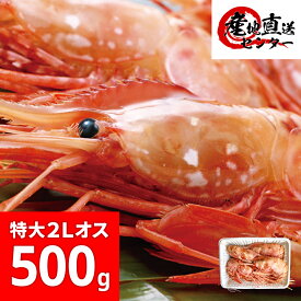 楽天市場 トヤマエビの通販