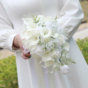 EFfBOu[P u[Pyu[PzEGfBOu[P u[gjA  u[P  EFfBOp AWg ԉ I   uC_u[P WG[ /u