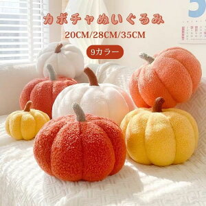 nEB ʂ l` J{` ڂ pvL nEB[  NbV ʂ CeA  ӂӂ p[eB[ fR[Vpi Xl`  ʂ