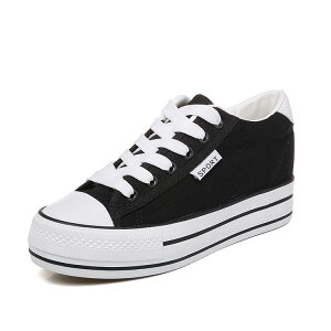 10%OFF݌ɂ  Xj[J[ fB[X C\[ [Jbg  5.5cmUP Xj[J[ C tbgV[Y JWA V[Y fB[X l  Xj[J[ n L