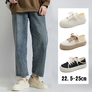 Xj[J[ fB[X [Jbg 3cm Xj[J[ C  t ƂȂXj[J[ T{T_ JWA V[Y fB[X l  Xj[J[ n Xj[J[ 