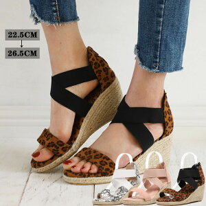 T_ fB[X  EFbW\[ ₷ nCq[ NbV ɂ y T_ sN JWA ꂢ  r C t  W[g TCY 傫