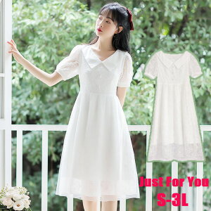 zCg  s[X hX  hX w Ǝ lC Ă΂ 2 XK[Y  񎟉 hX  l Ӊ  I RT[g Cxg f[g y 