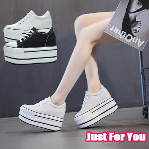 Xj[J[ Xj[J[ fB[X [Jbg  11cmUP Xj[J[ C tbgV[Y JWA ꂢ V[Y   ₷ fB[X l  Xj[J[ n 