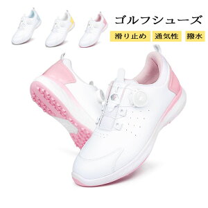 StV[Y fB[X _C  C St h _炩 ~ EH[LOV[Y X|[cV[Y ϋv h\[ bV ʋC K h ₷ 