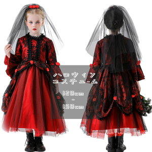 q s[X [^ nEB NX}X RX`[ ԉ ܎O vZX RXv opCA s[X LbY [^ LbY Lolita ̎q m RXv WjA n