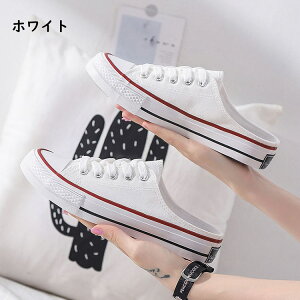 T_ fB[X ₷ wlC ƂȂ Xj[J[ T{ u[c Xj[J[ T_Xj[J[ LoX