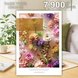 J^OMtg TԂ  eCNA`CX JRG 7900~R[X MtgJ^O T Ԃ u Ñ  Au A  @ @v e{ l\ 49 o 
