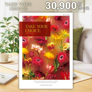 J^OMtg TԂ  eCNA`CX IVWE 30900~R[X MtgJ^O T Ԃ u Ñ  Au A  @ @v e{ l\ 49 o 