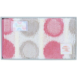 yTԂ z oXpi p Mtg bV 唻 oX}bg C ʏ sN R hL z  ׂ~  { o l\ o Ԃ r @ 