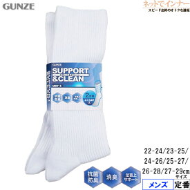 GUNZE(グンゼ)サポートクリーン メンズ ソックス 2足組 定番 FE0102[22-24、23-25、24-26、25-27、26-28、27-29サイズ]