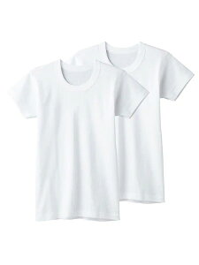 GUNZE(O[)q jێVc 100cm 2g 炩100% N BF6550C[100TCY]