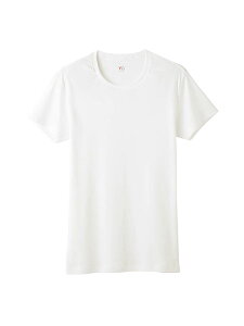 GUNZE(�O���[)YG �����Y �N���[�l�b�NT�V���c(�ێ�) �{�́F��100% �N�� YV0013V[M�AL�ALL�T�C�Y]