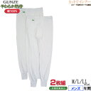GUNZE(グンゼ) メンズ 長ズボン下(前あき) やわらか肌着 2枚組 年間 SV6102A[M、L、LLサイズ]