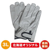 楽天市場】LL サイズ（皮手袋｜作業用手袋・軍手）：生活雑貨<日用品 