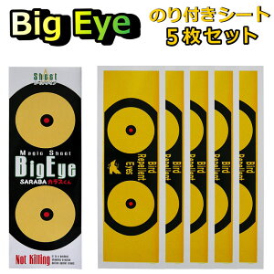 JX ΍ ObY 悯 쏜  SARABAJX ^̂tV[g Big Eye rbOAC 5Zbg  x_ S~ {bNX lbg