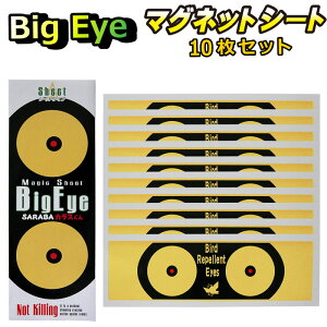 JX ΍ ObY 悯 쏜  SARABAJX  }OlbgV[g Big Eye rbOAC 10Zbg  x_ S~ {bNX lbg