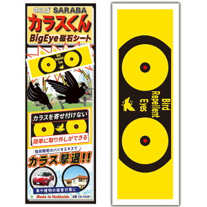 JX ΍ ObY SARABAJX  }Olbg V[g Big Eye rbOAC (ZEROA) K̔XIWii   S~ {bNX lbg x_ɊȒPtEO\!