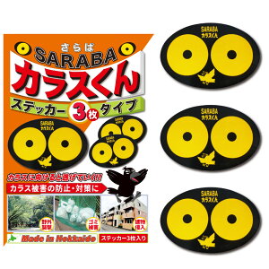 JX  悯 ΍ 쏜 ObY  S~ x_  SARABAJX XebJ[ 3ySARABAJX񐳋K̔XEIWiKiz