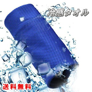 yzN[^I Novemkada ^I p^I X|[c^I z y MǑ΍ 100×30cm ^ j K oR s ɍœK