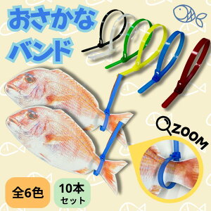 IׂJ[oh10{Zbg@250mm@      oh@P[u^C CVbN s[g^C ^Cbv d  z ނ ނ gݍ킹 Jt V