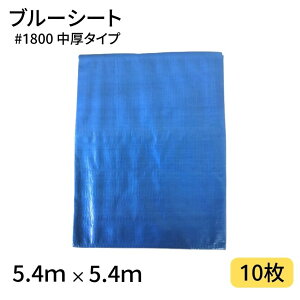 u[V[g #1800 5.4×5.4 10 1800  ngdl H y z h  J 悯 Ԍ Yp h 䕗 { W[ V[g AEghA ^ sy Ԍ C Lv e