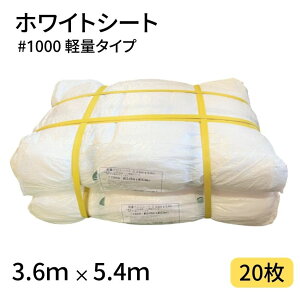 zCgV[g #1000 3D6×5D4 20 1000 y ngdl H y z h  J 悯 Ԍ Yp h 䕗 ΍ { W[ AEghA ^ sy Ԍ C Lv