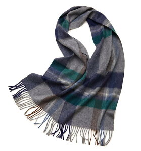 JV~ JV~100 `FbN }t[ JV~A JV~ Xg[ V[ jp H ~ g h ϊ  킢 ݃J[ Mtg LO a n Vv v